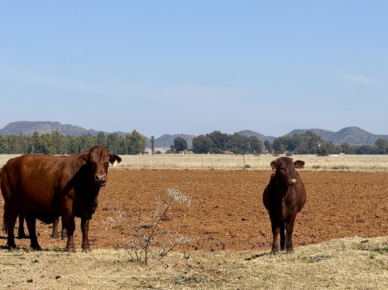 0 Bedroom Property for Sale in Bloemfontein Rural Free State